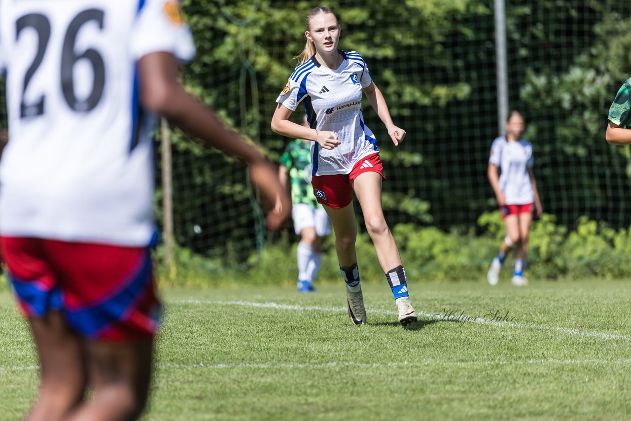 Bild 404 - wBJ Hamburger SV - VfL Wolfsburg : Ergebnis: 5:1